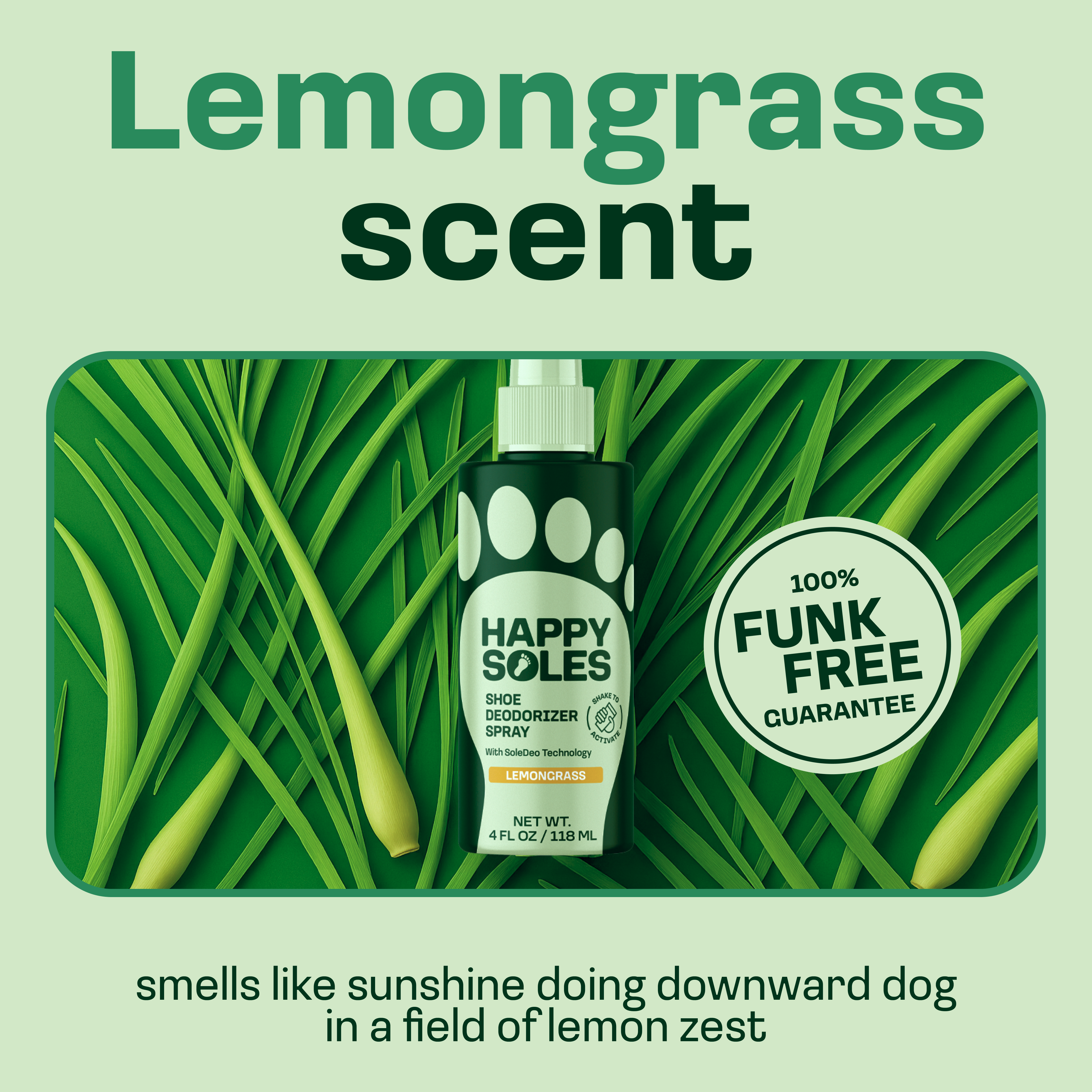 Shoe Deodorizer Spray