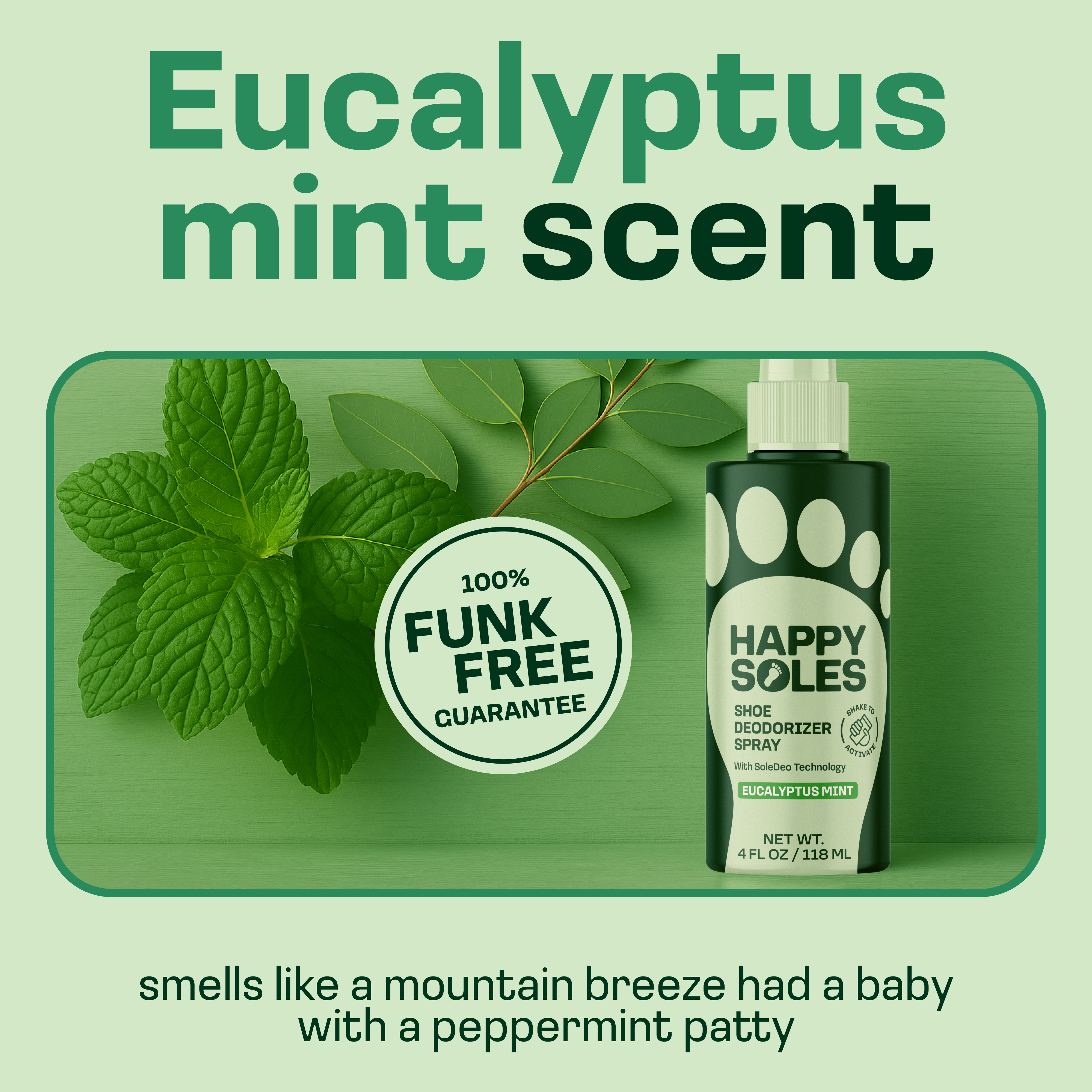 Shoe Deodorizer Spray